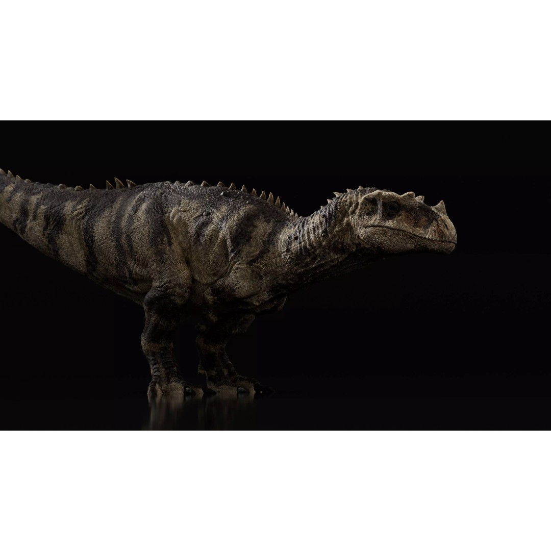 Ceratosaurus 3D Model – Rigged Dinosaur for Animation, FBX - View 17