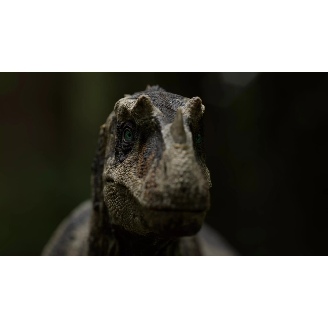 Ceratosaurus 3D Model – Rigged Dinosaur for Animation, FBX - View 24