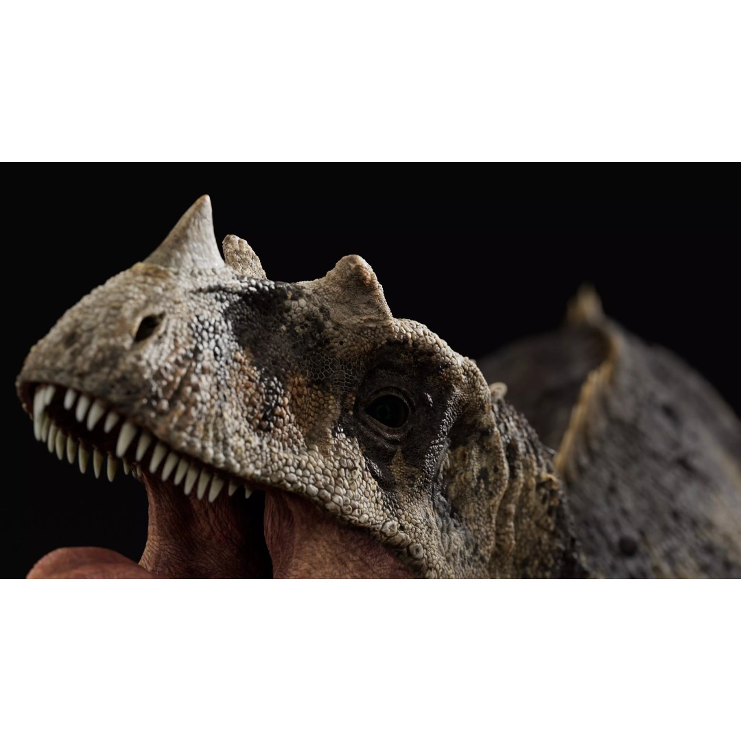 Ceratosaurus 3D Model – Rigged Dinosaur for Animation, FBX - View 3