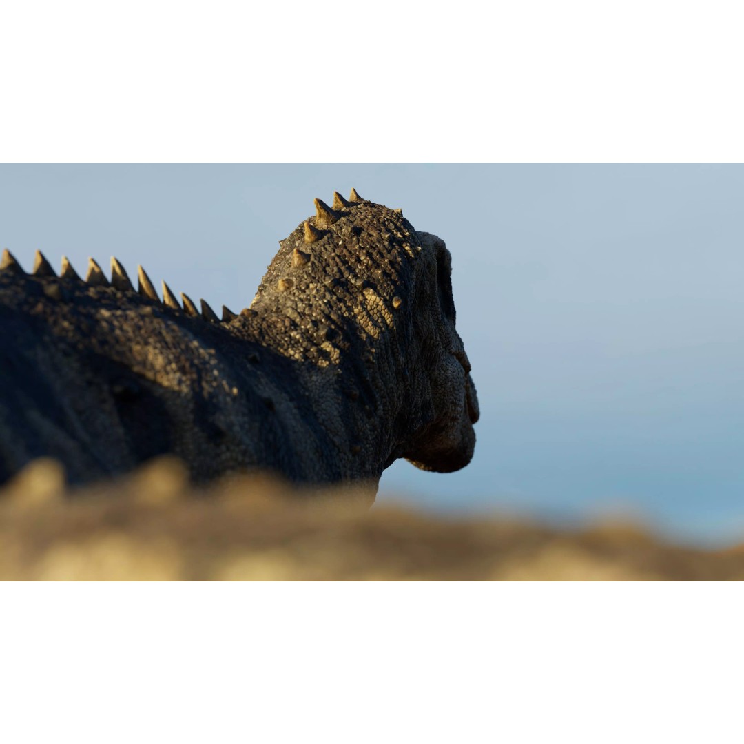 Ceratosaurus 3D Model – Rigged Dinosaur for Animation, FBX - View 36