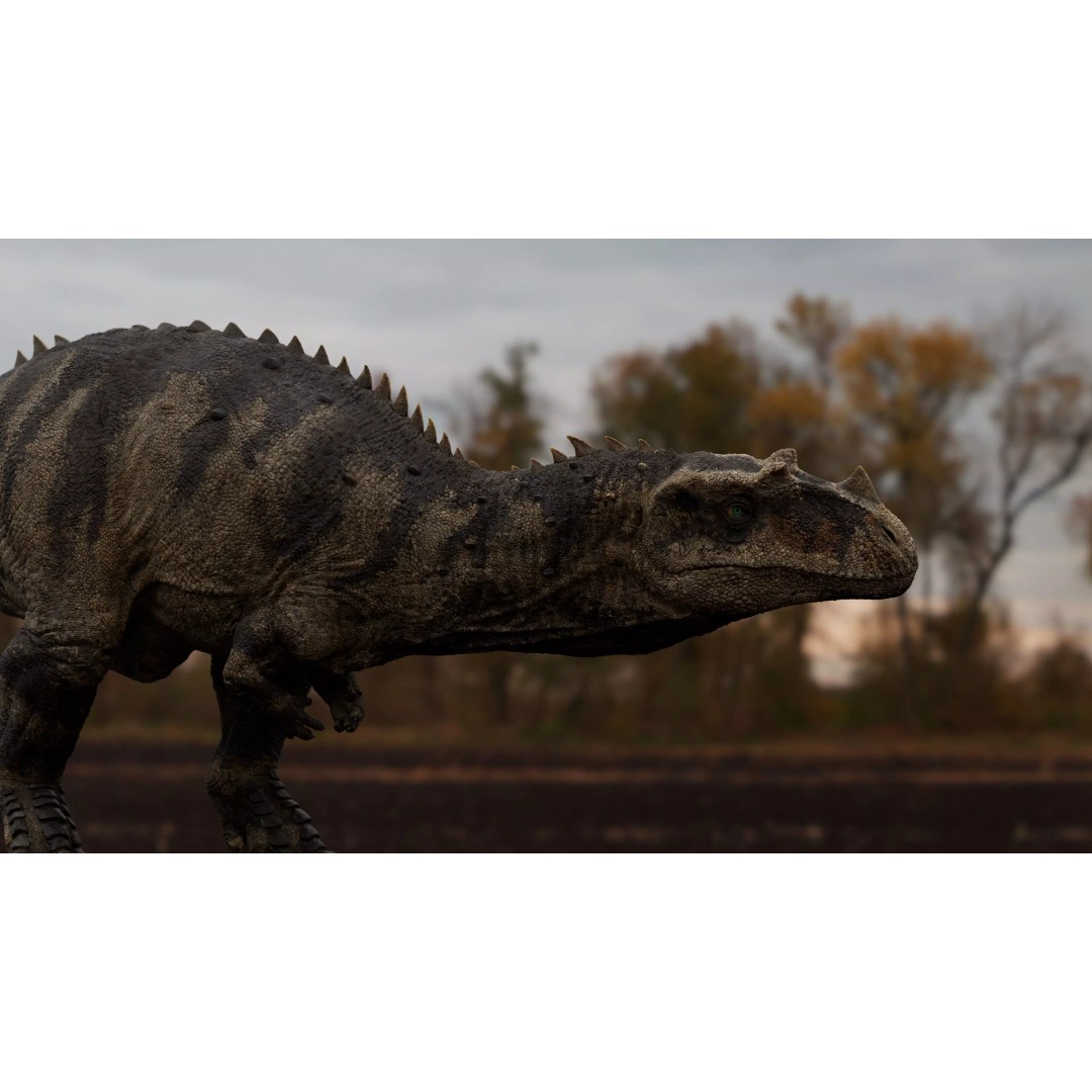 Ceratosaurus 3D Model – Rigged Dinosaur for Animation, FBX - View 37