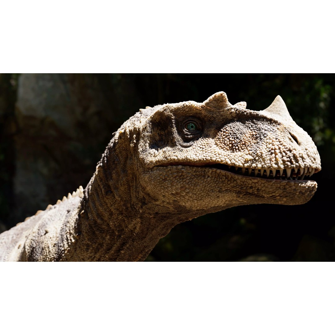 Ceratosaurus 3D Model – Rigged Dinosaur for Animation, FBX - View 40
