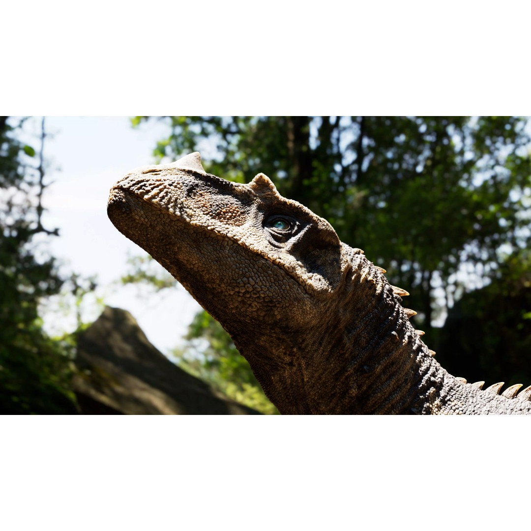 Ceratosaurus 3D Model – Rigged Dinosaur for Animation, FBX - View 41