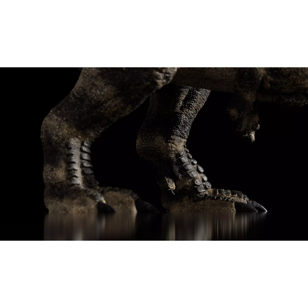 Ceratosaurus 3D Model – Rigged Dinosaur for Animation, FBX - View 5