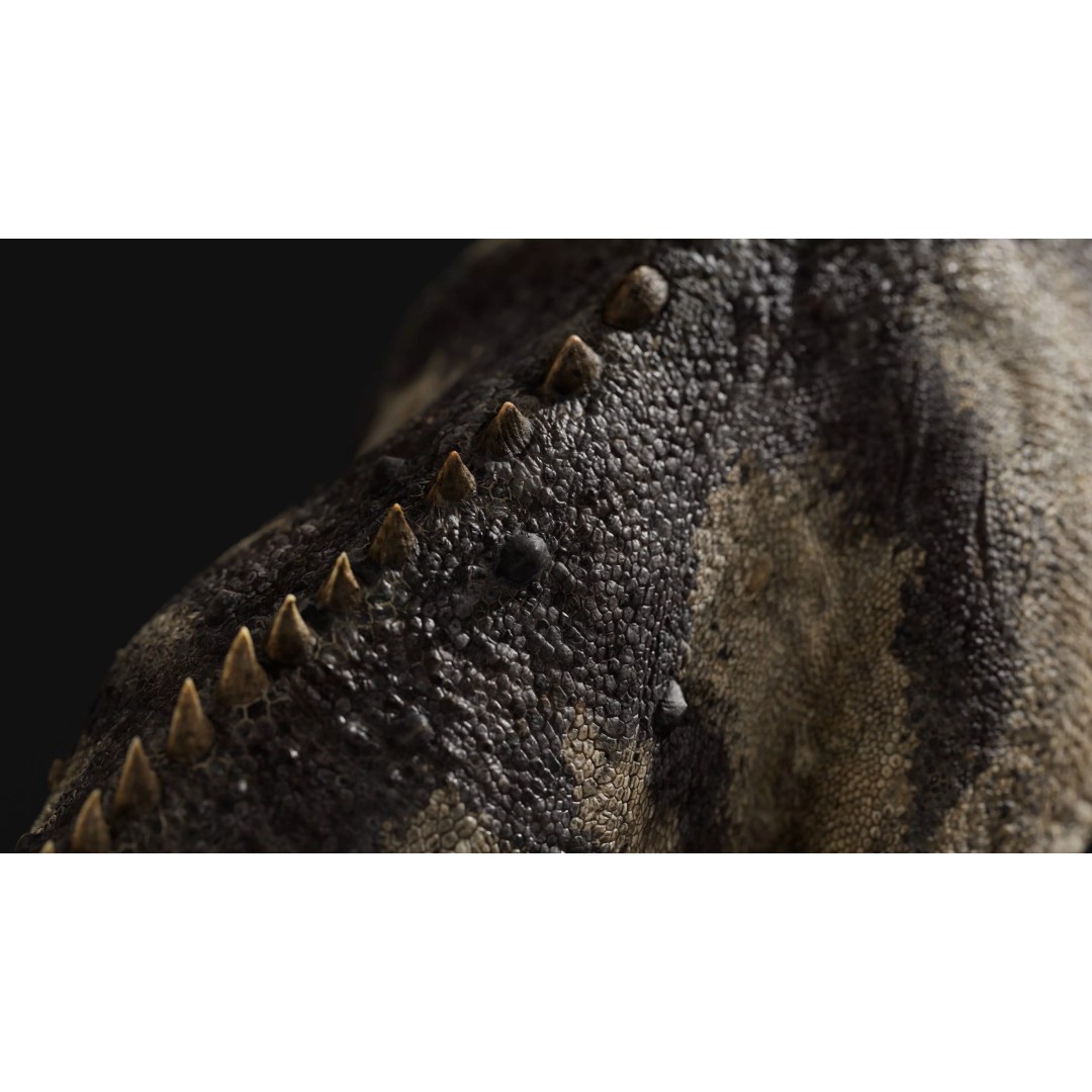 Ceratosaurus 3D Model – Rigged Dinosaur for Animation, FBX - View 9