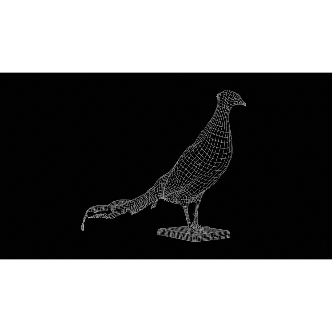 Pheasant 3D Model – Low Poly Game Asset, FBX, Blender, PBR - View 13