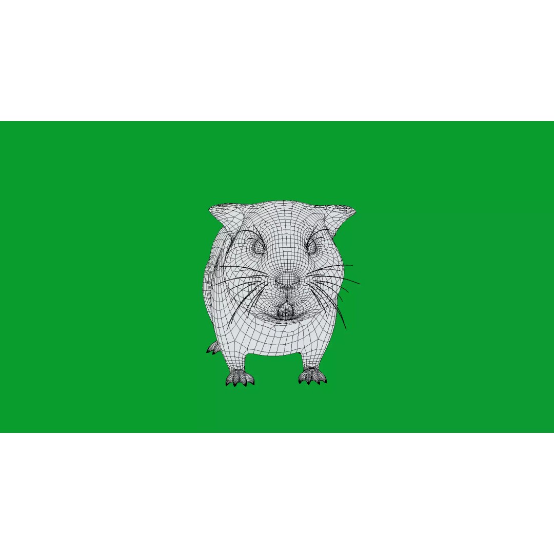 American Guinea Pig 3D Model – Low Poly Rigged Animal with Animations - View 17