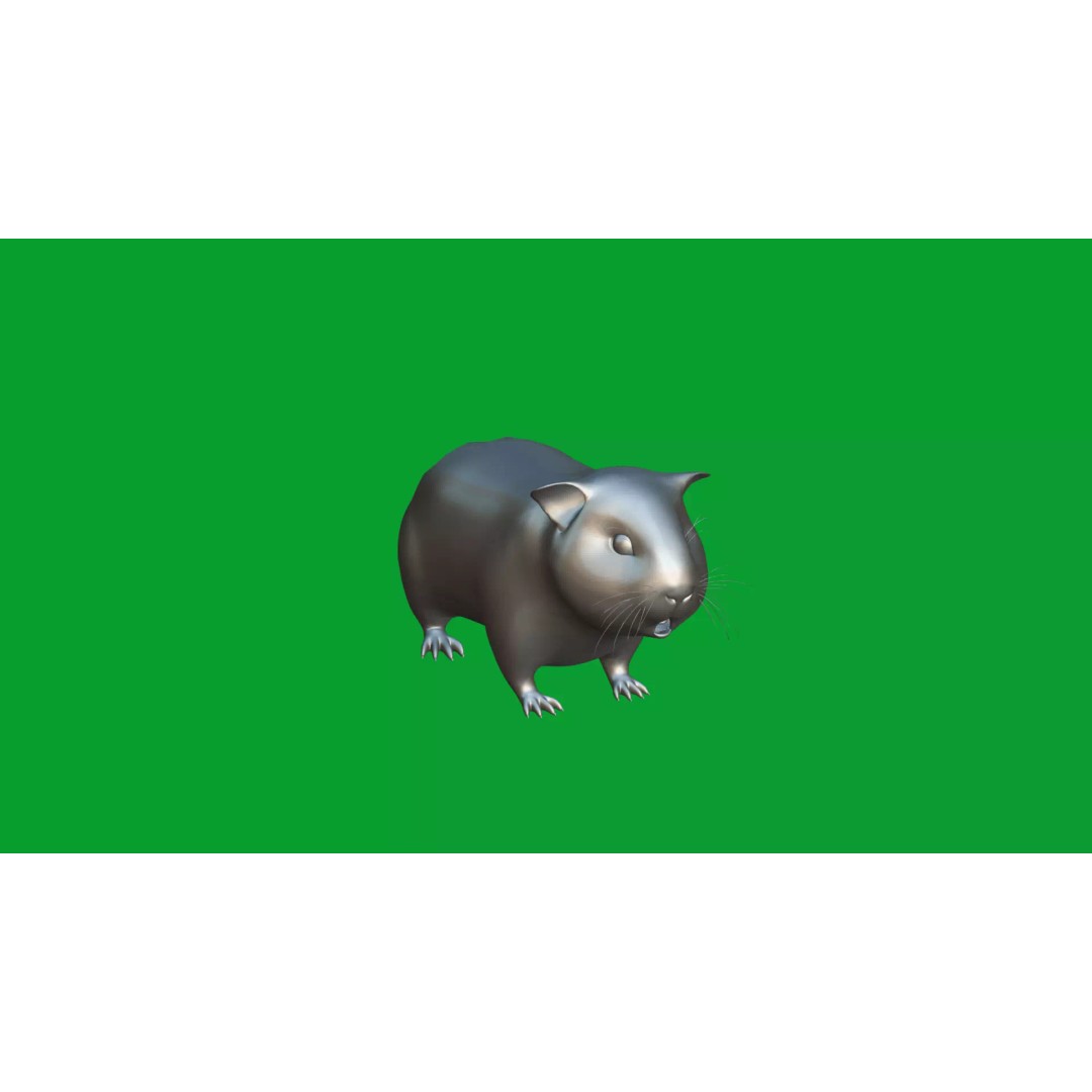 American Guinea Pig 3D Model – Low Poly Rigged Animal with Animations - View 20
