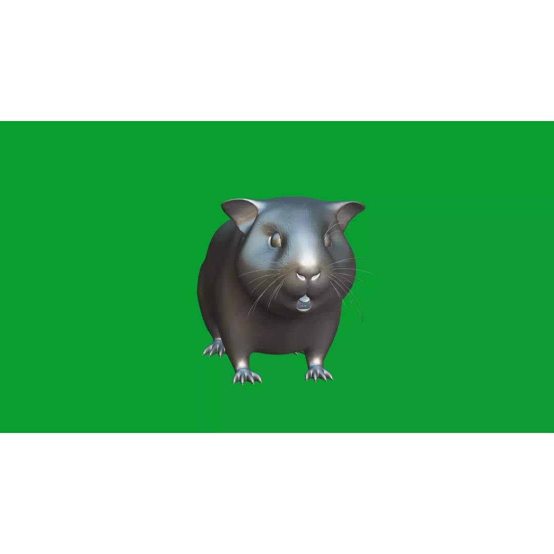 American Guinea Pig 3D Model – Low Poly Rigged Animal with Animations - View 24