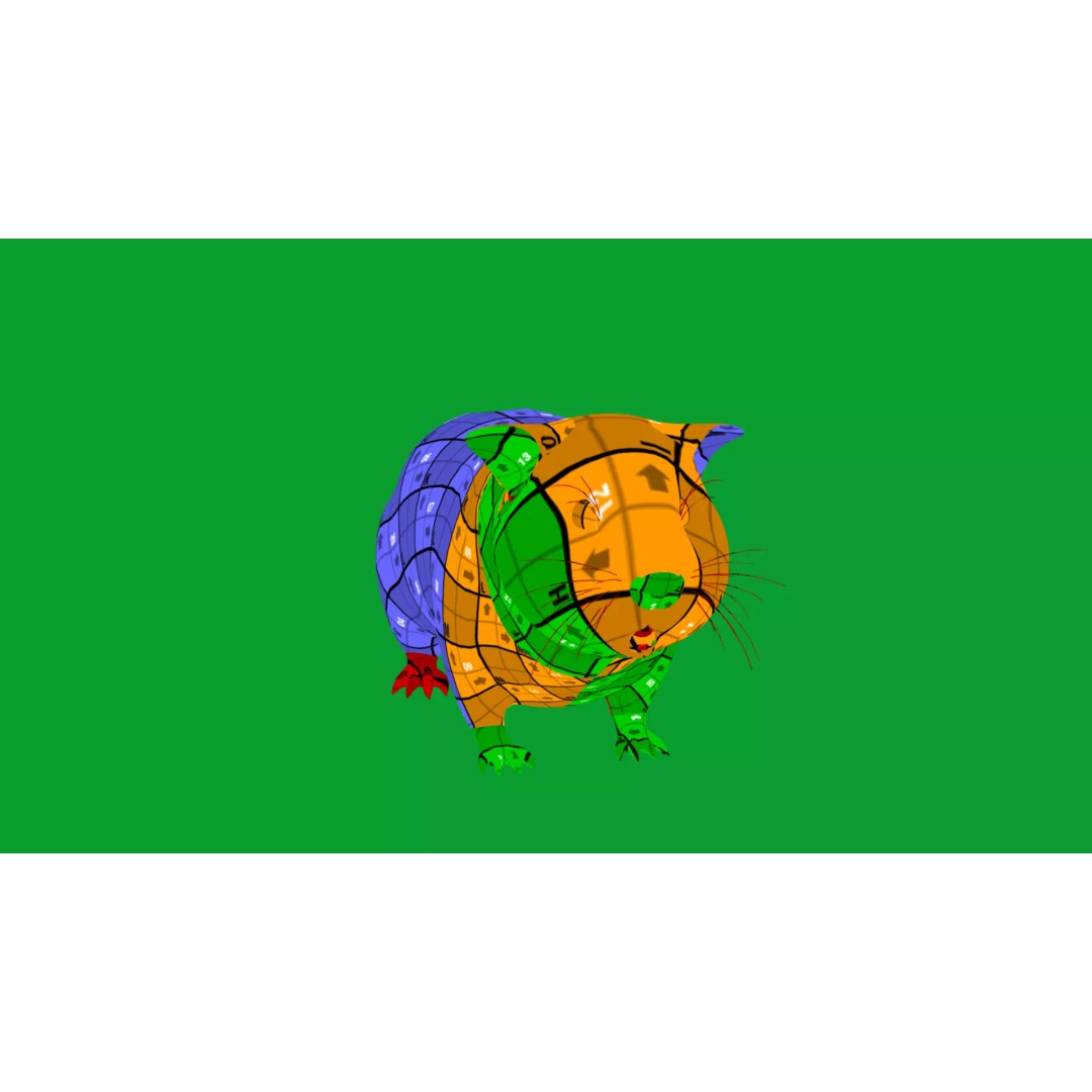 American Guinea Pig 3D Model – Low Poly Rigged Animal with Animations - View 29