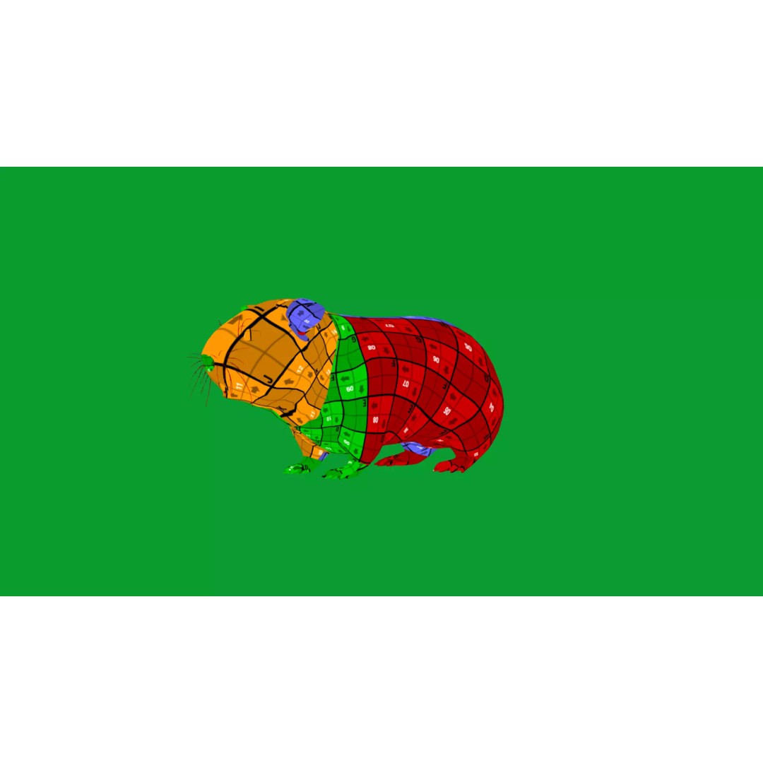 American Guinea Pig 3D Model – Low Poly Rigged Animal with Animations - View 30