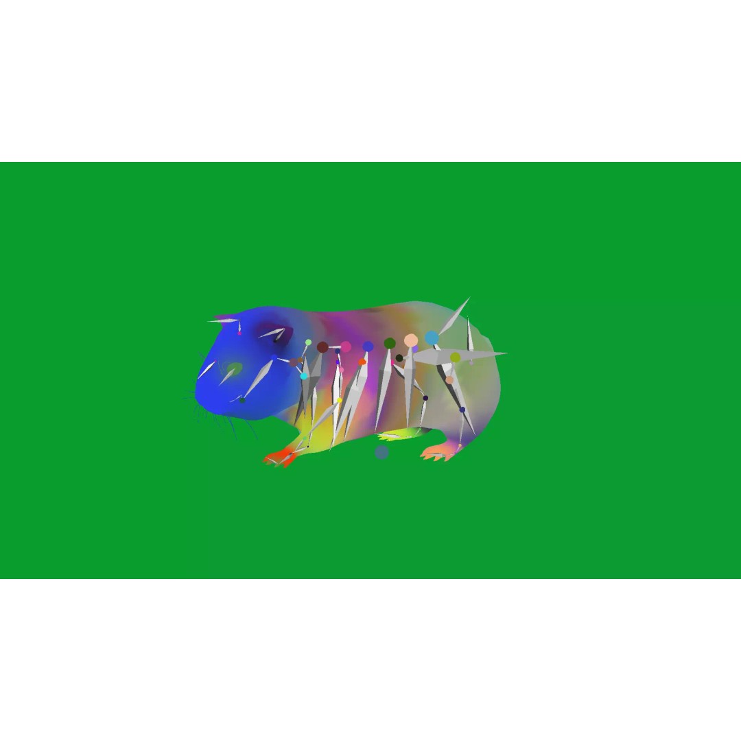 American Guinea Pig 3D Model – Low Poly Rigged Animal with Animations - View 36
