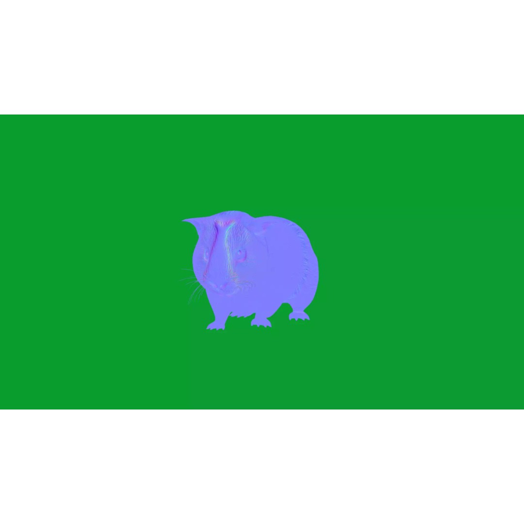 American Guinea Pig 3D Model – Low Poly Rigged Animal with Animations - View 40