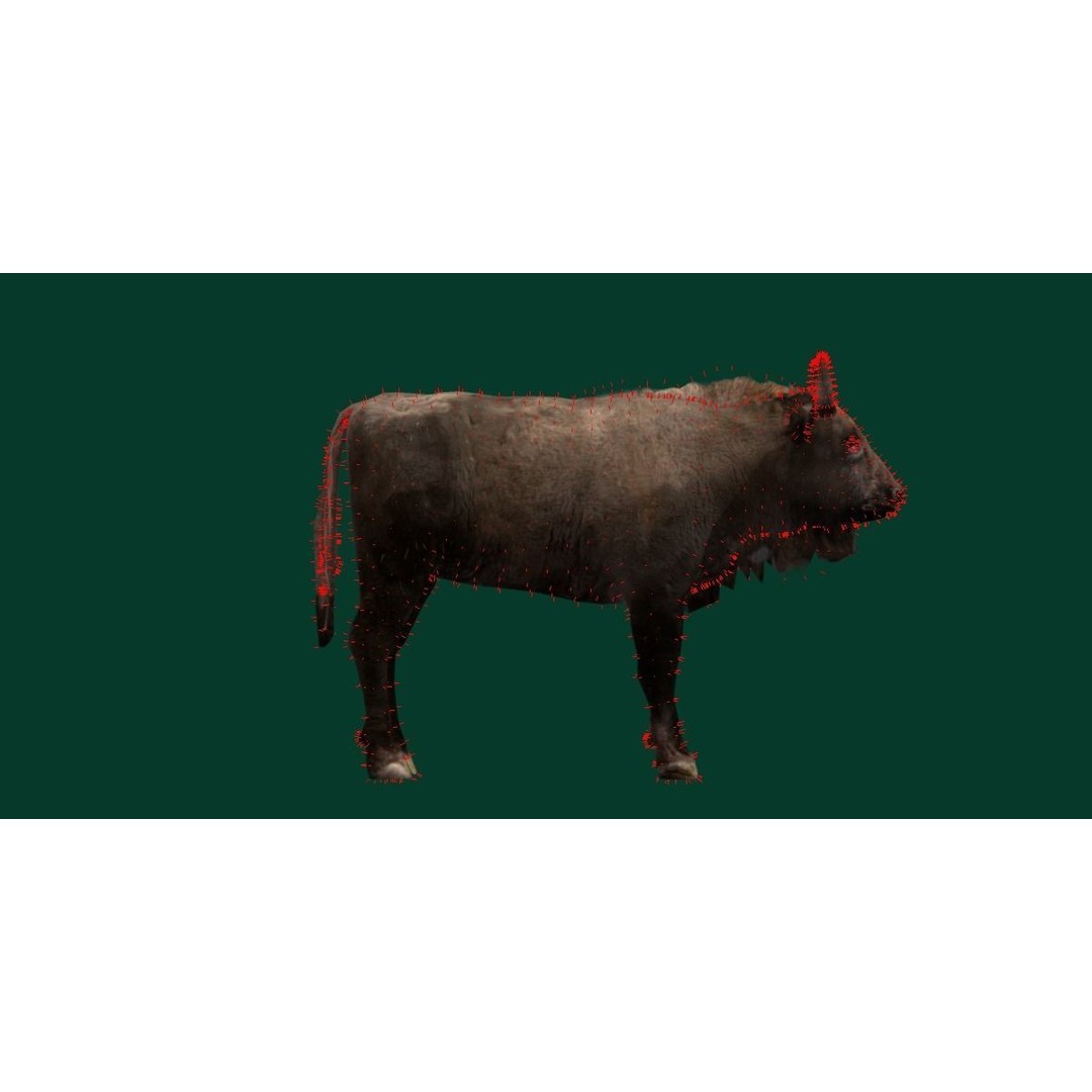European Bison Calf 3D Model – Low Poly Game Asset, FBX, PBR - View 12