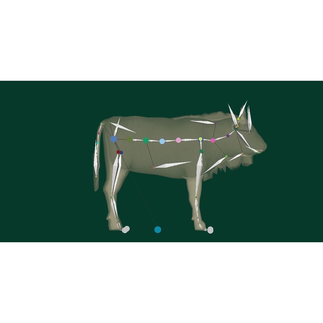 European Bison Calf 3D Model – Low Poly Game Asset, FBX, PBR - View 16