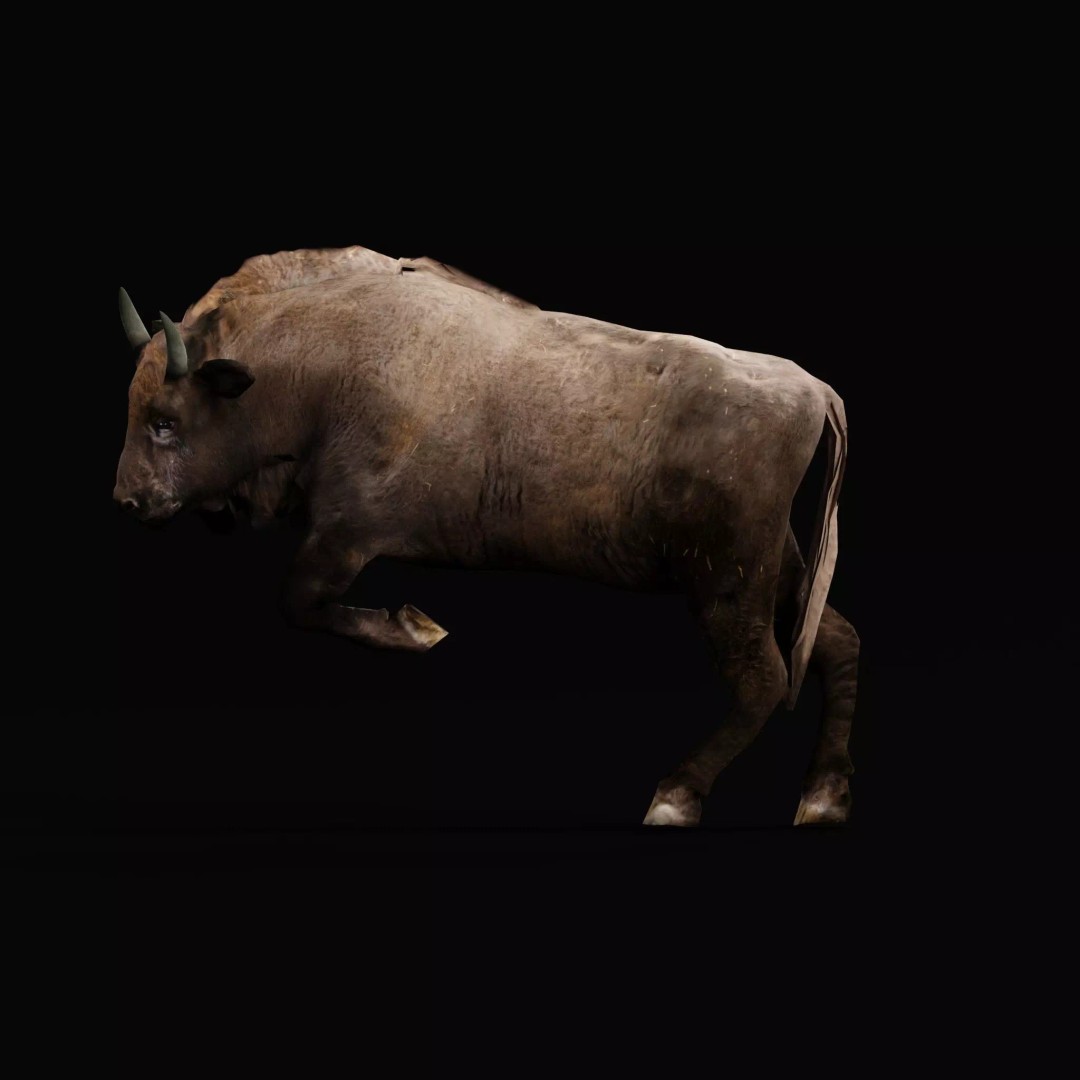 European Bison Calf 3D Model – Low Poly Game Asset, FBX, PBR - View 2