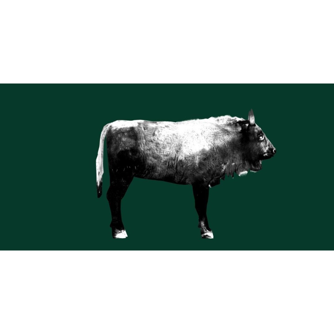 European Bison Calf 3D Model – Low Poly Game Asset, FBX, PBR - View 20