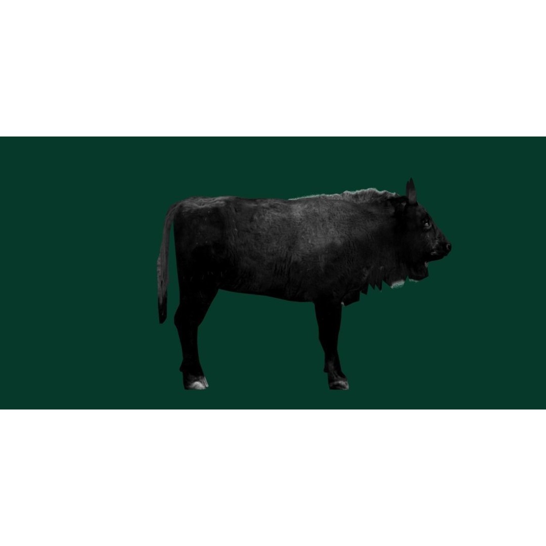 European Bison Calf 3D Model – Low Poly Game Asset, FBX, PBR - View 21