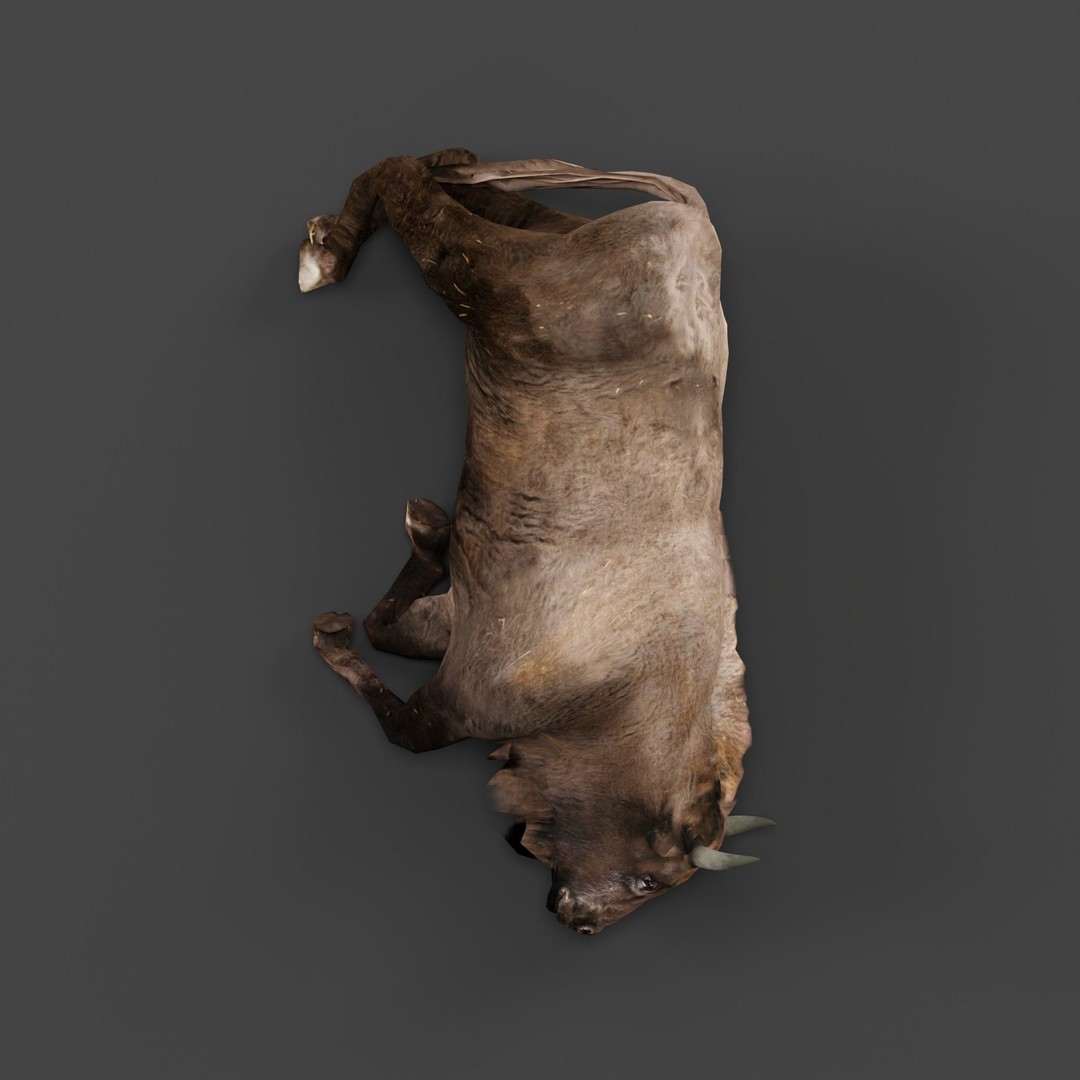 European Bison Calf 3D Model – Low Poly Game Asset, FBX, PBR - View 5