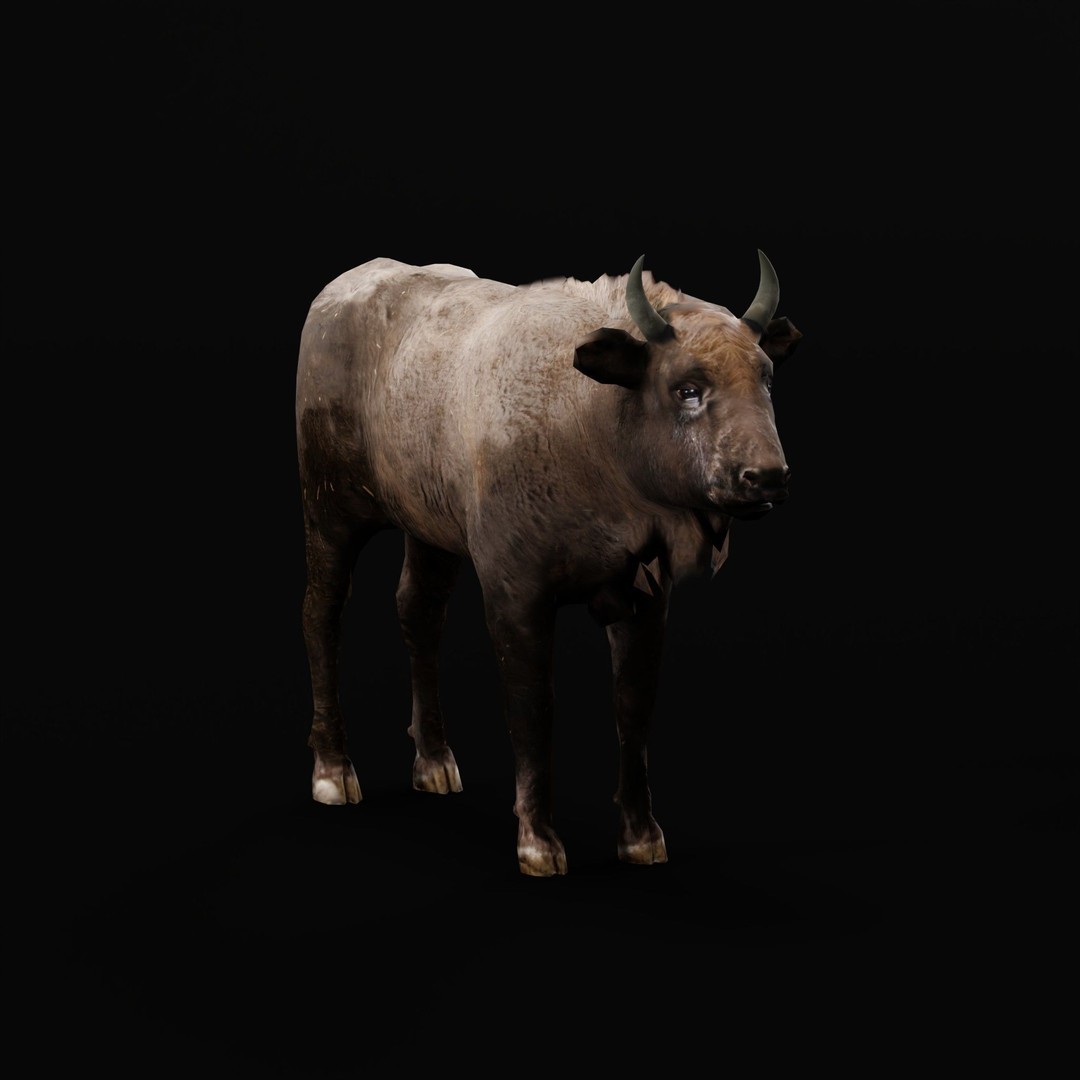 European Bison Calf 3D Model – Low Poly Game Asset, FBX, PBR - View 6
