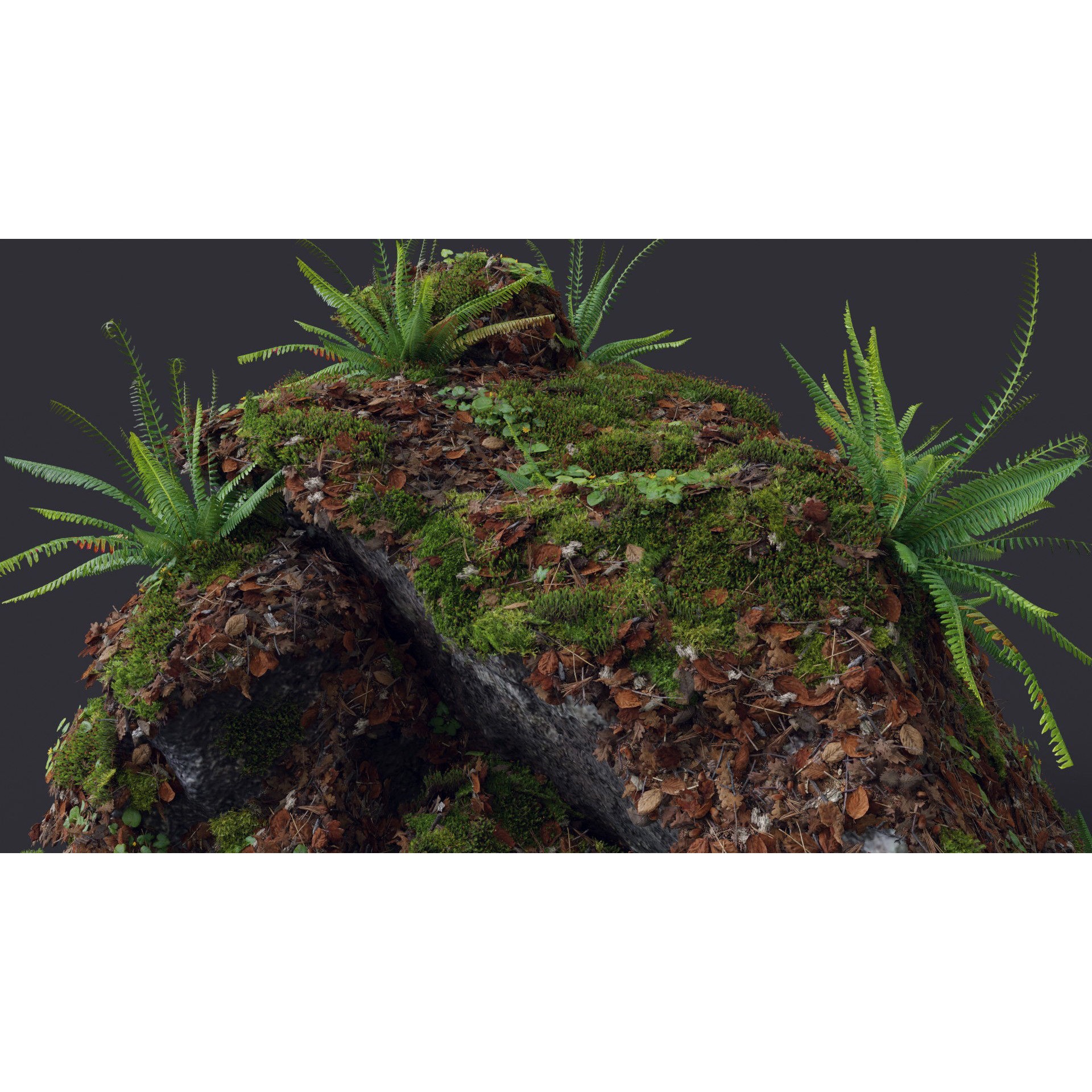 Moss Biome Ground Scatter - Low-Poly Game-Ready 3D Model - View 10