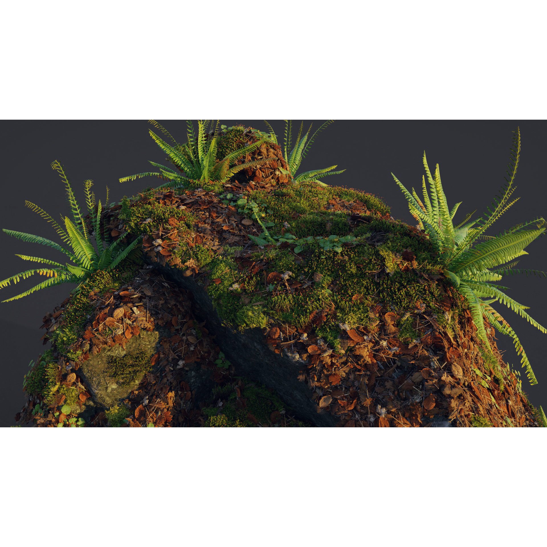 Moss Biome Ground Scatter - Low-Poly Game-Ready 3D Model - View 11
