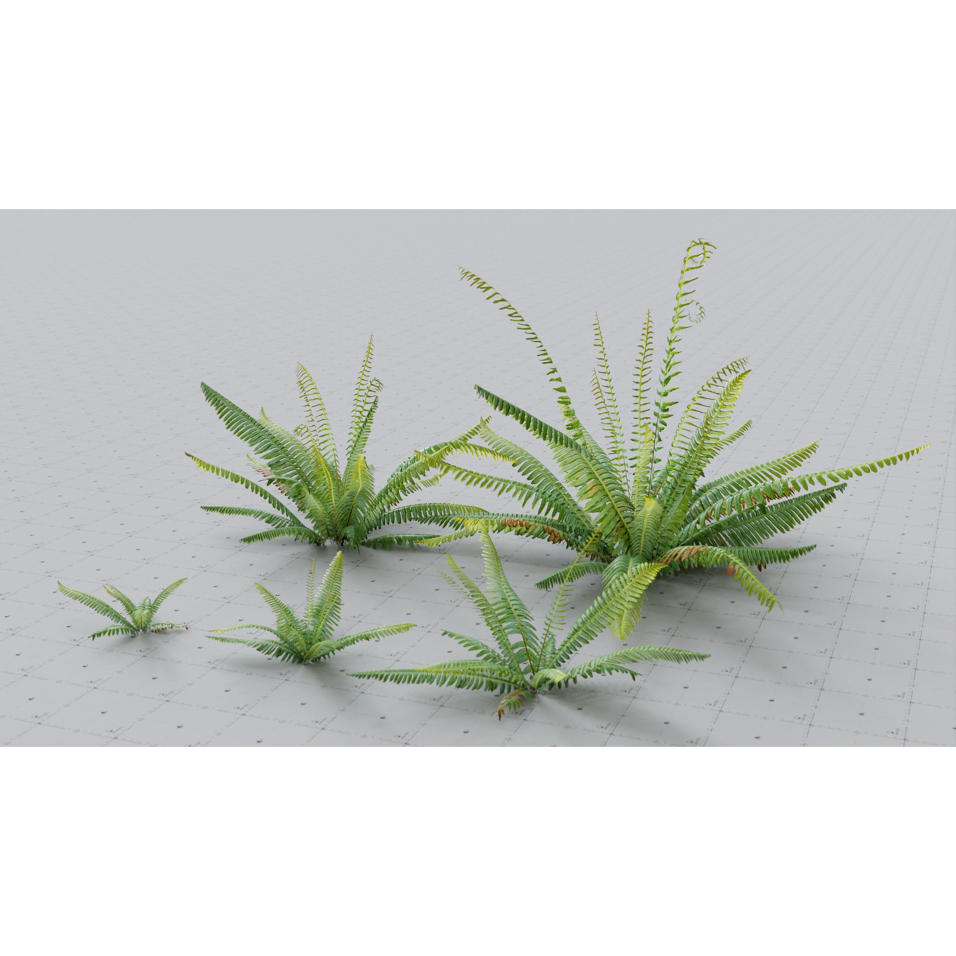 Moss Biome Ground Scatter - Low-Poly Game-Ready 3D Model - View 22