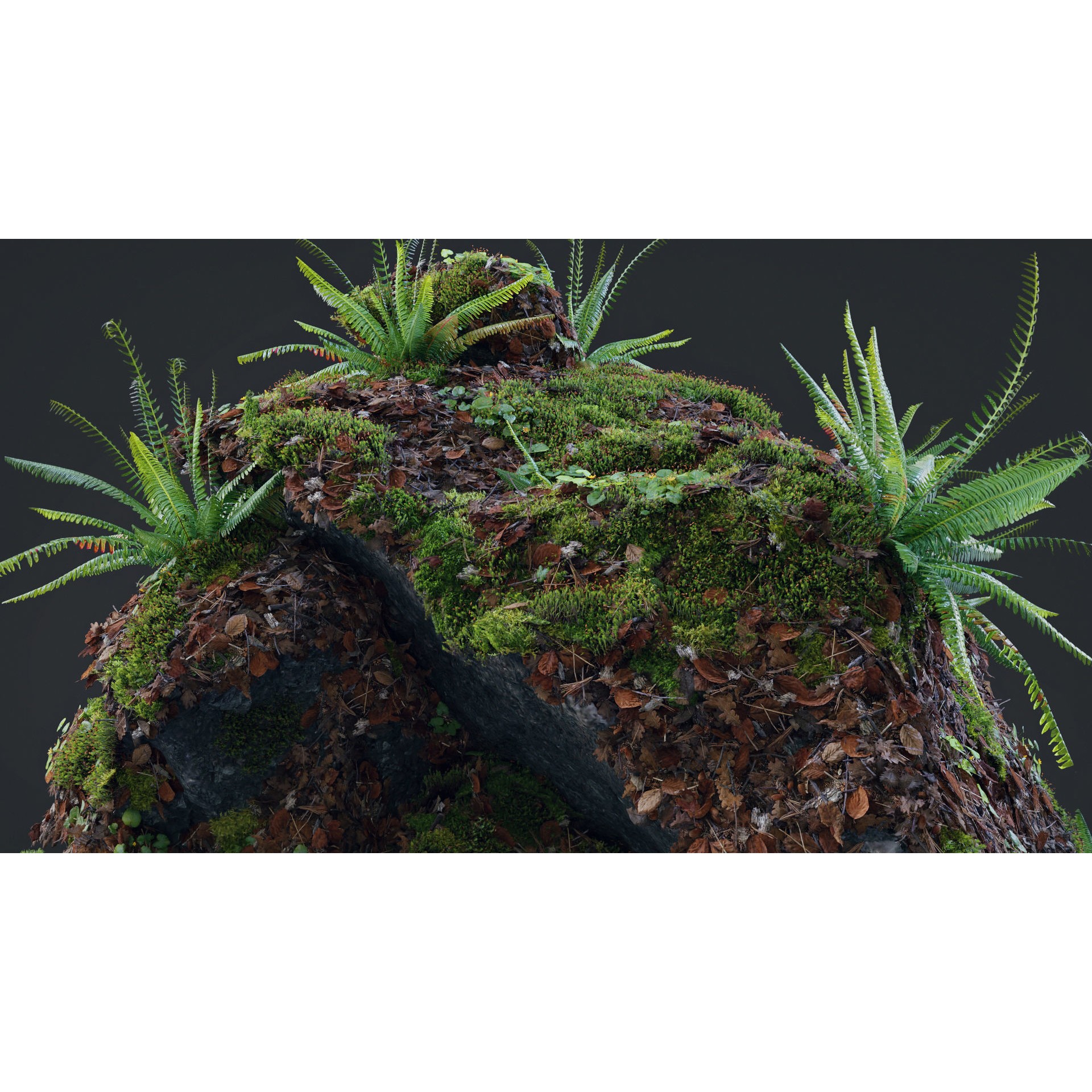 Moss Biome Ground Scatter - Low-Poly Game-Ready 3D Model - View 9