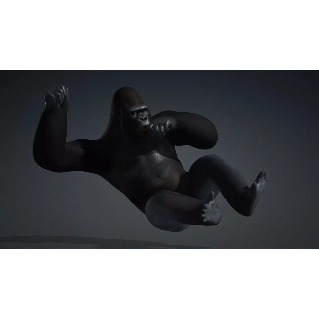 Gorilla-A1 3D Model – Rigged Animated Mammal for Games, FBX - View 10