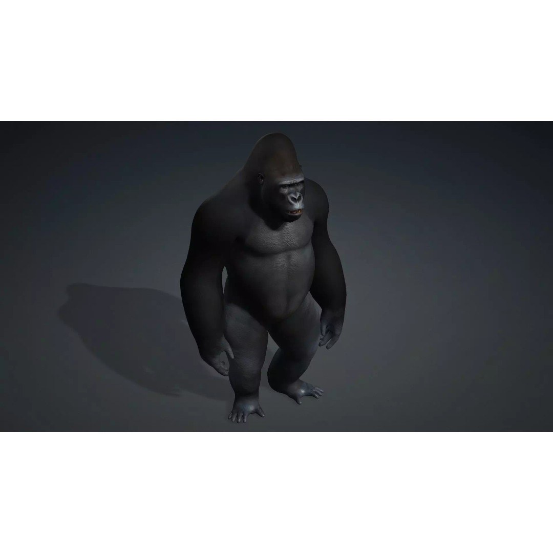 Gorilla-A1 3D Model – Rigged Animated Mammal for Games, FBX - View 11