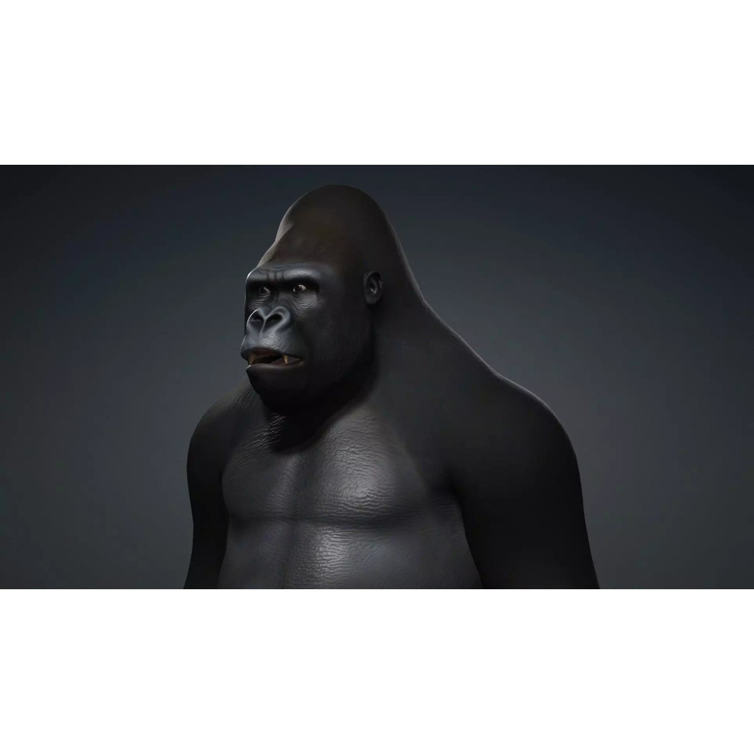 Gorilla-A1 3D Model – Rigged Animated Mammal for Games, FBX - View 12