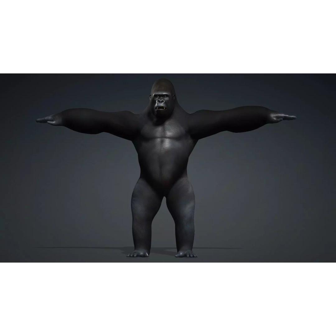Gorilla-A1 3D Model – Rigged Animated Mammal for Games, FBX - View 13