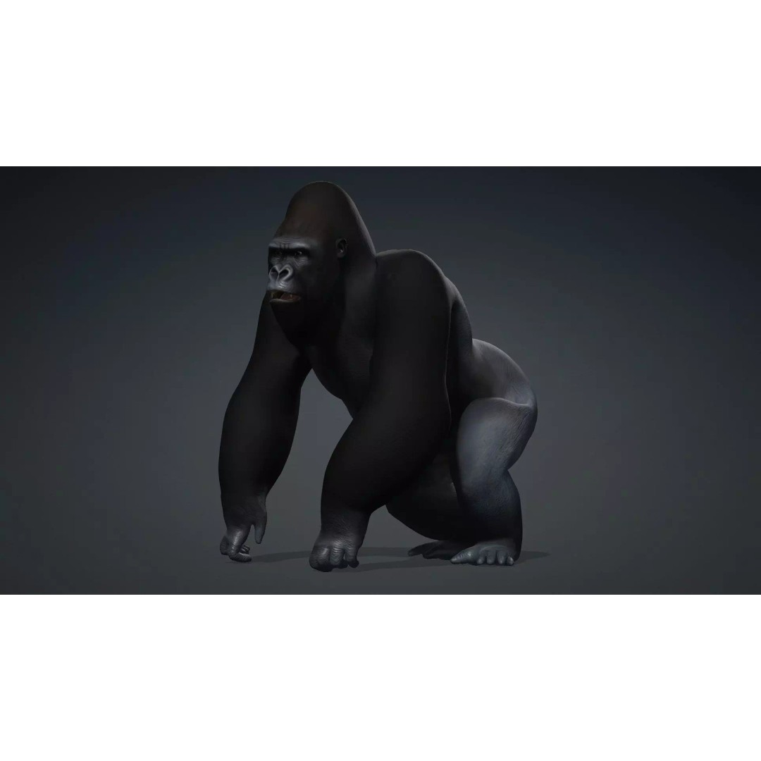 Gorilla-A1 3D Model – Rigged Animated Mammal for Games, FBX - View 14