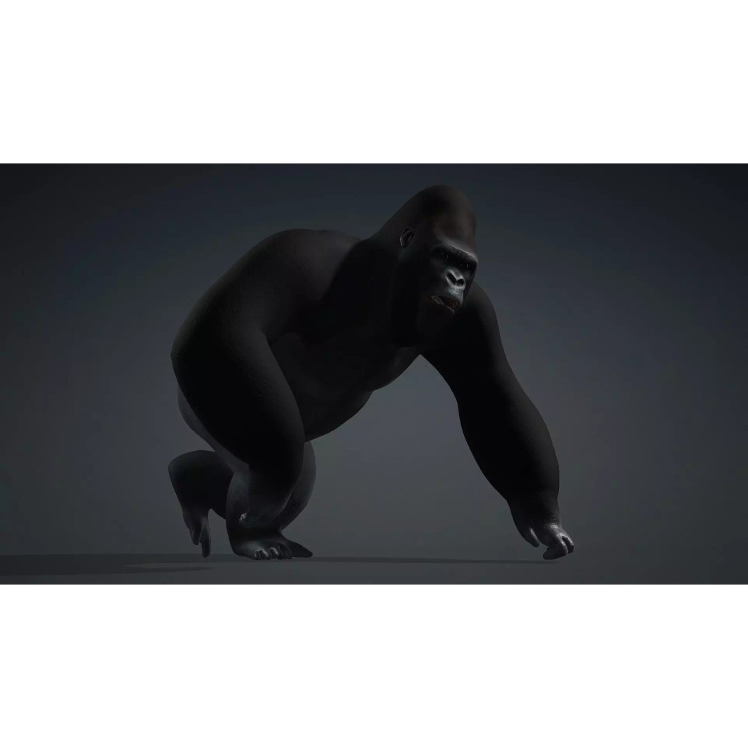 Gorilla-A1 3D Model – Rigged Animated Mammal for Games, FBX - View 15