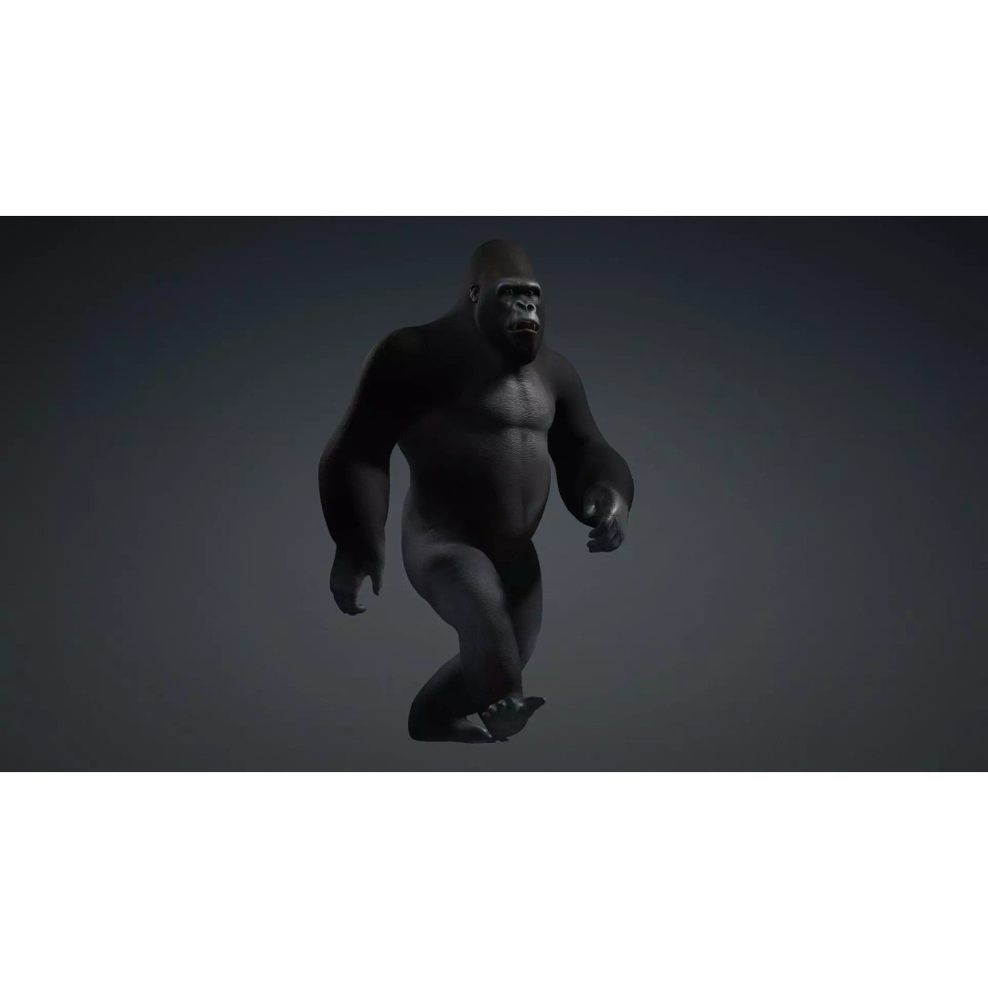 Gorilla-A1 3D Model – Rigged Animated Mammal for Games, FBX - View 18