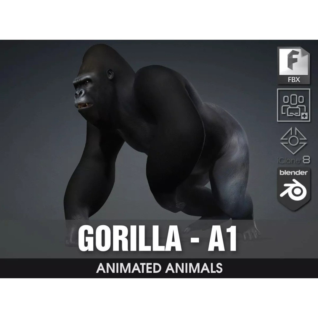 Gorilla-A1 3D Model – Rigged Animated Mammal for Games, FBX - View 2