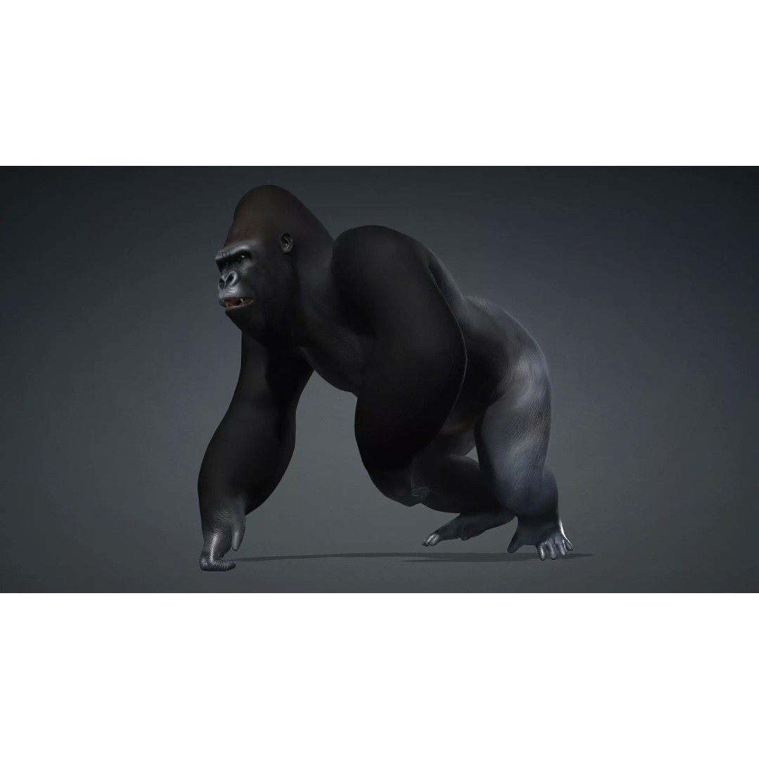 Gorilla-A1 3D Model – Rigged Animated Mammal for Games, FBX - View 3