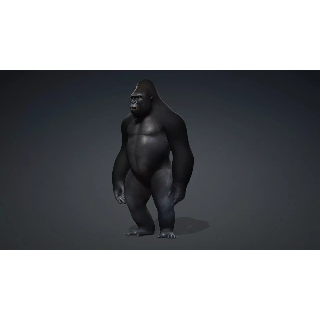 Gorilla-A1 3D Model – Rigged Animated Mammal for Games, FBX - View 4