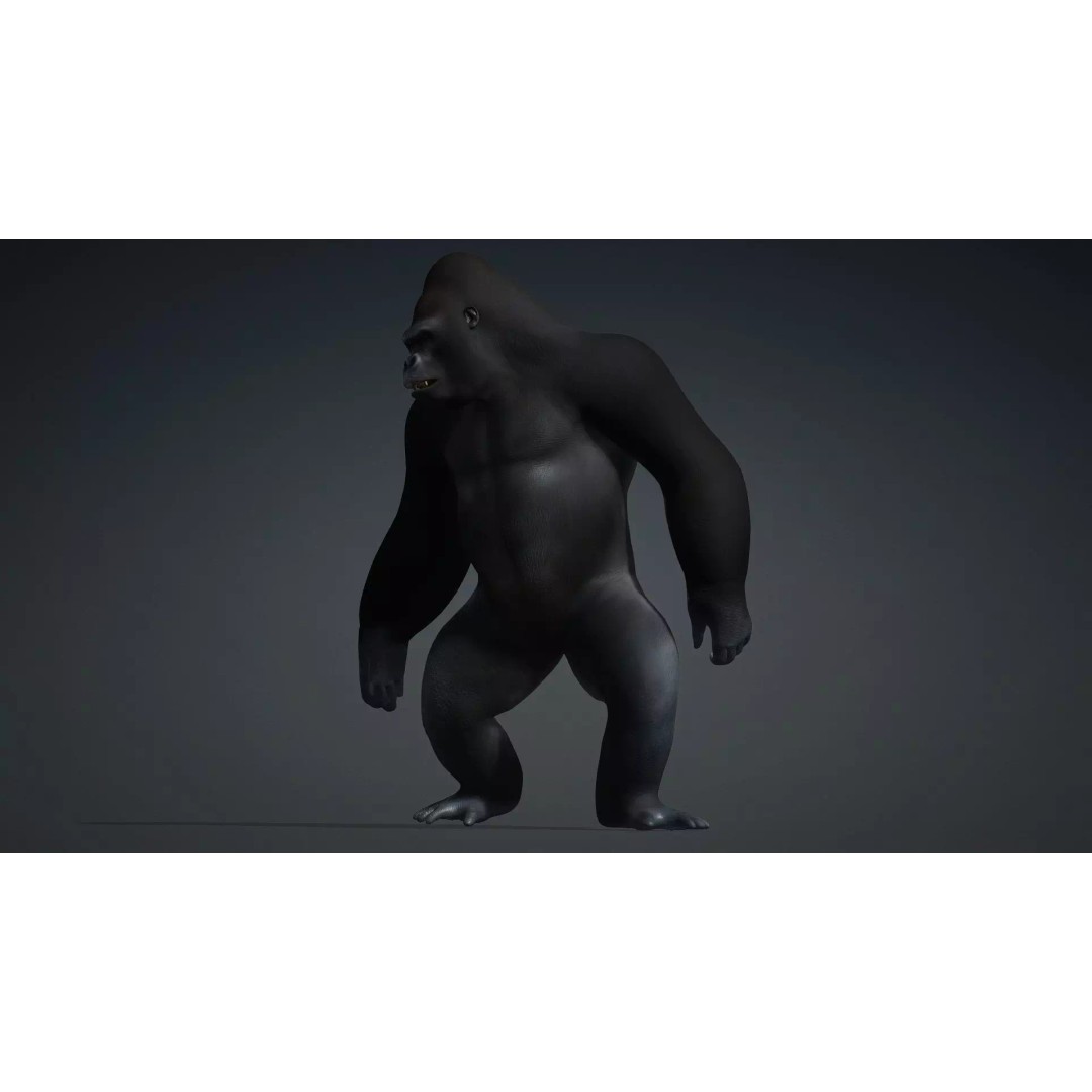 Gorilla-A1 3D Model – Rigged Animated Mammal for Games, FBX - View 5