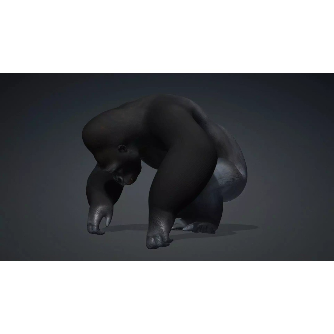 Gorilla-A1 3D Model – Rigged Animated Mammal for Games, FBX - View 7