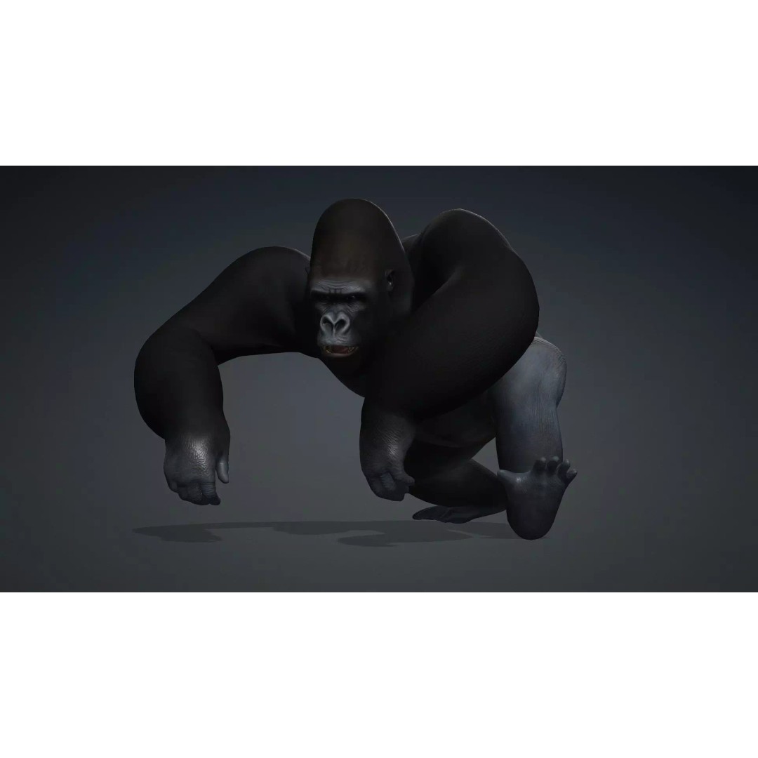 Gorilla-A1 3D Model – Rigged Animated Mammal for Games, FBX - View 8