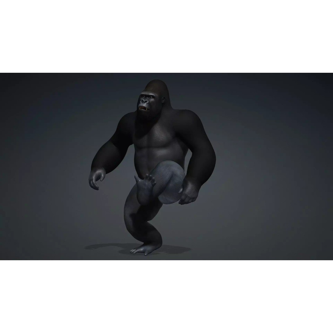 Gorilla-A1 3D Model – Rigged Animated Mammal for Games, FBX - View 9