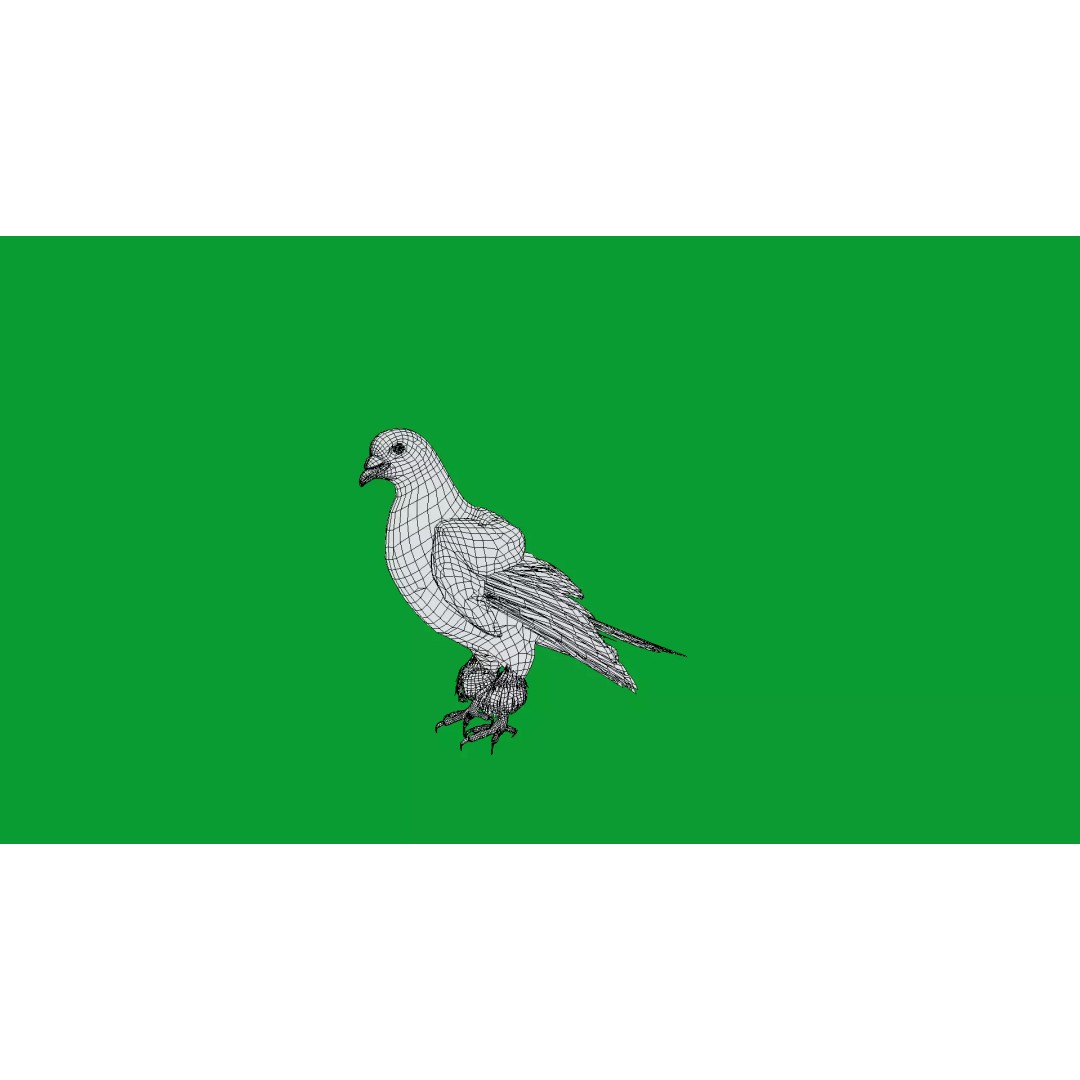 Saxon Monk Pigeon 3D Model – Low Poly Game Ready Asset, FBX - View 24