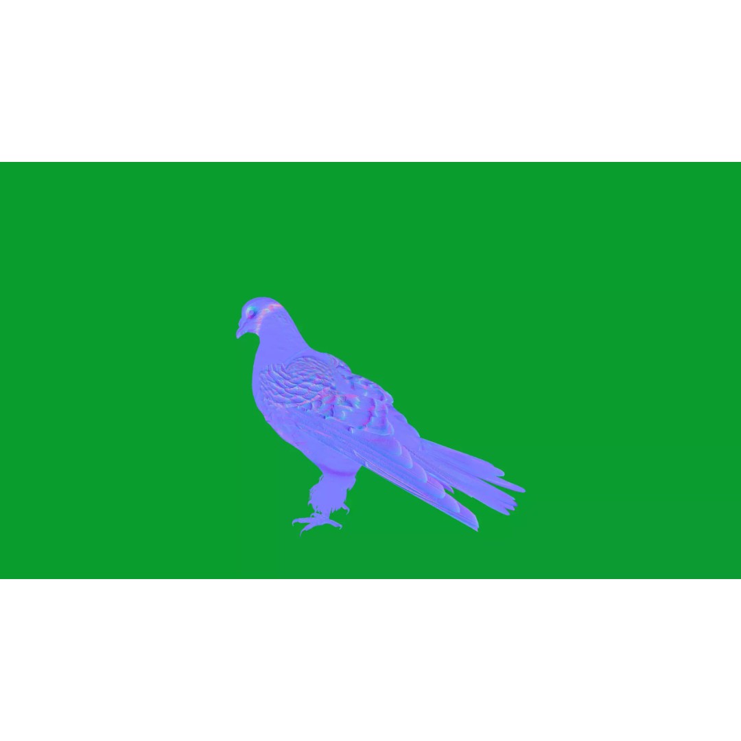 Saxon Monk Pigeon 3D Model – Low Poly Game Ready Asset, FBX - View 31