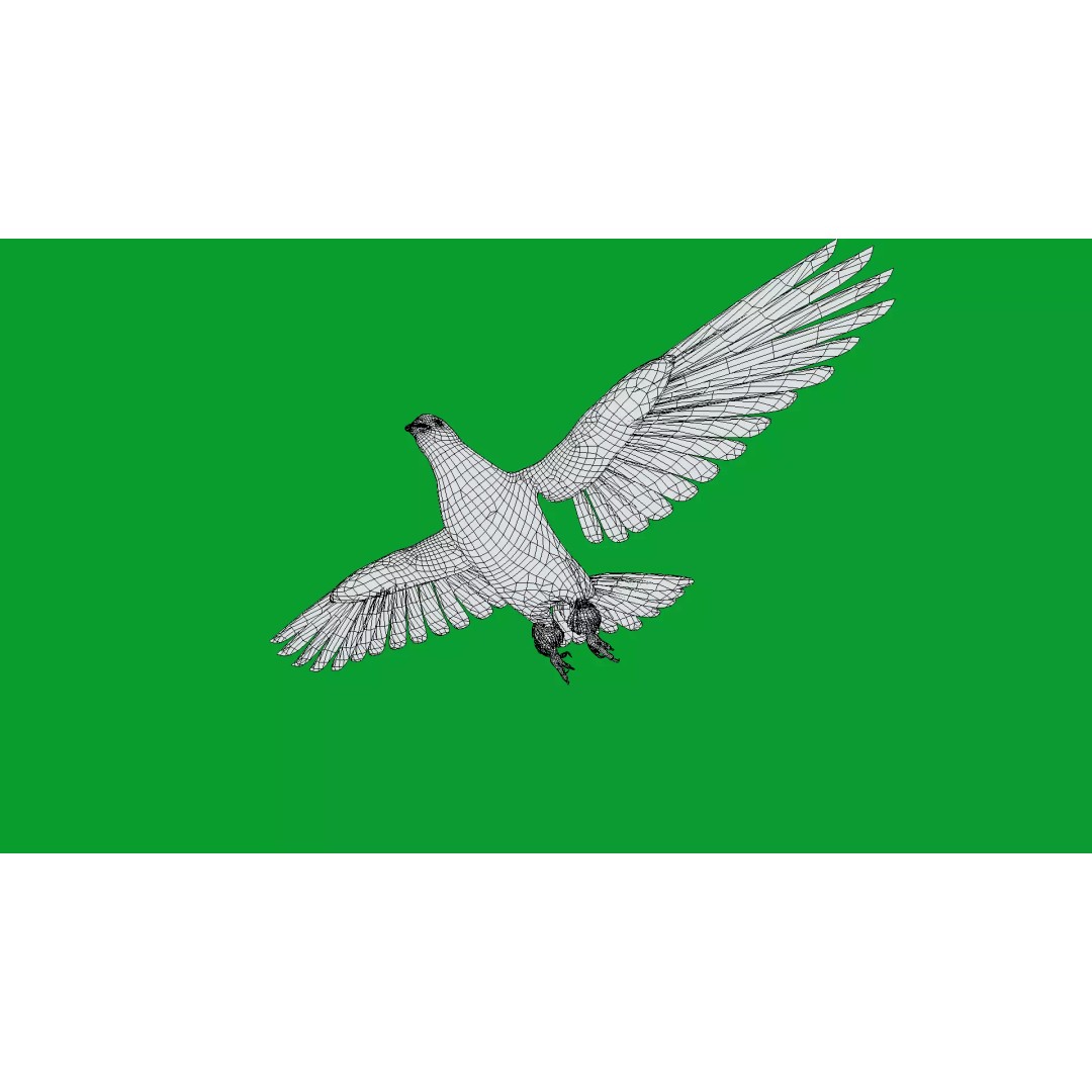 Saxon Monk Pigeon 3D Model – Low Poly Game Ready Asset, FBX - View 33