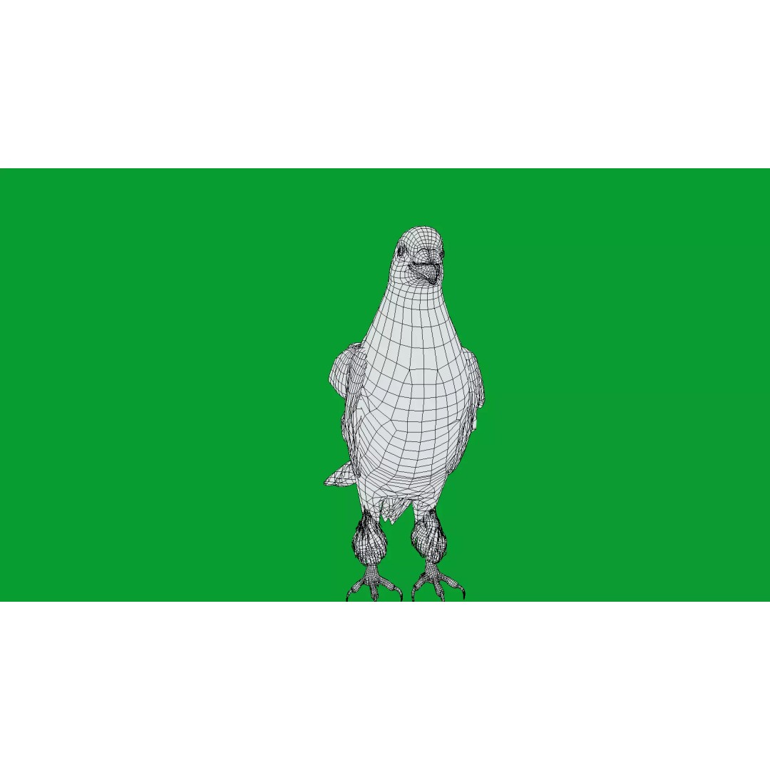 Saxon Monk Pigeon 3D Model – Low Poly Game Ready Asset, FBX - View 35