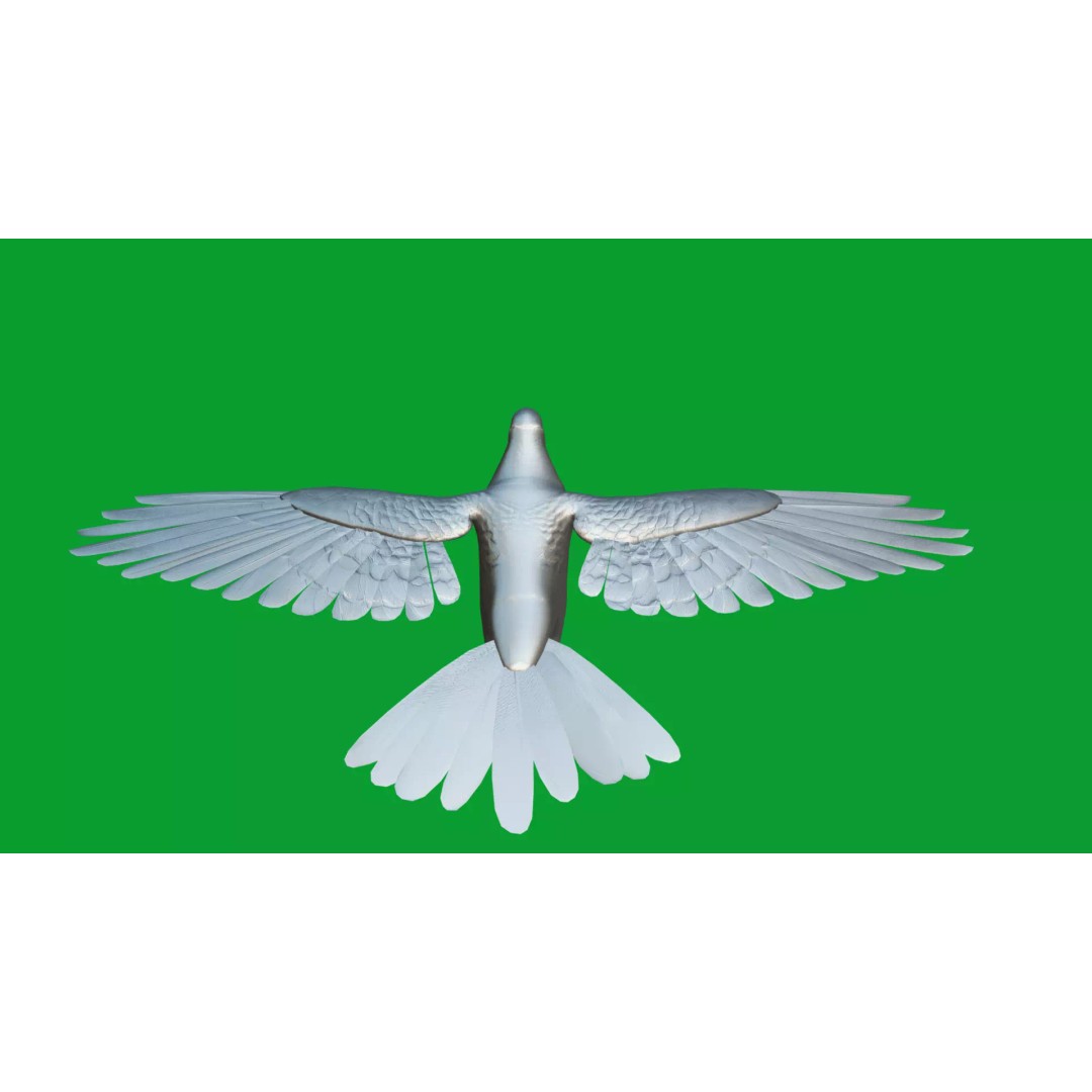 Saxon Monk Pigeon 3D Model – Low Poly Game Ready Asset, FBX - View 39
