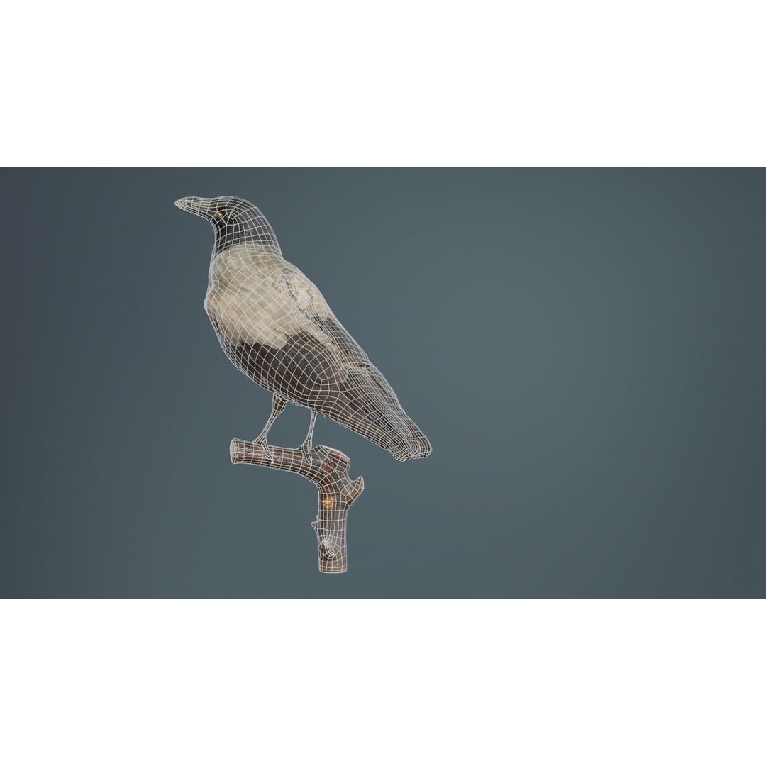 Hooded Crow 3D Model – Low Poly Game Asset, PBR Textures, FBX - View 12