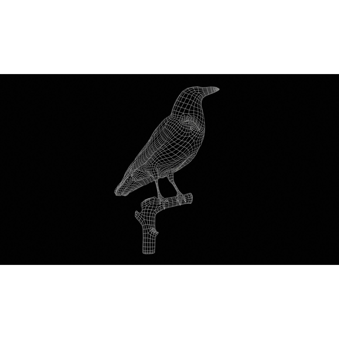 Hooded Crow 3D Model – Low Poly Game Asset, PBR Textures, FBX - View 13
