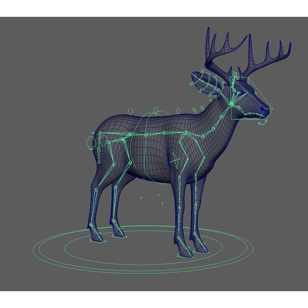 Deer 3D Model – Photorealistic Rigged Animal with Textures